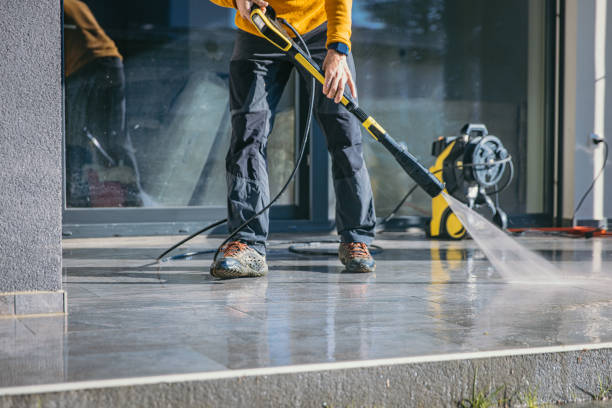 Best Garage Pressure Washing  in Luna Pier, MI