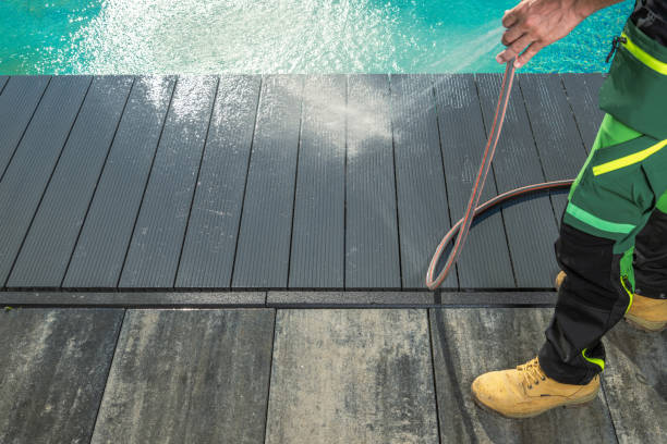 Best Pressure Washing Near Me  in Luna Pier, MI