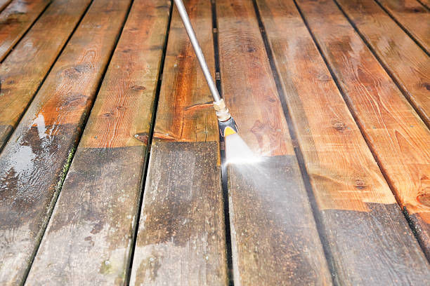 Best Commercial Pressure Washing  in Luna Pier, MI