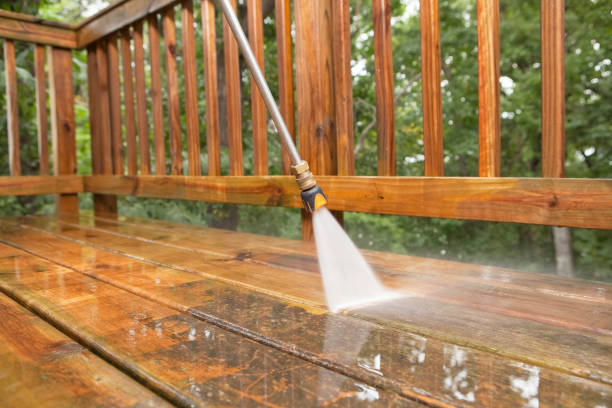 Best Sidewalk Pressure Washing  in Luna Pier, MI