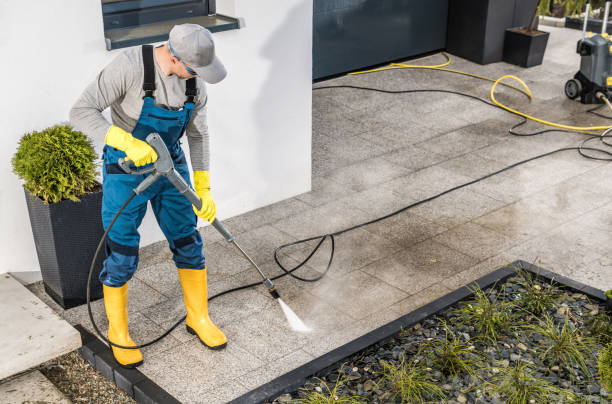 Best Deck Pressure Washing  in Luna Pier, MI