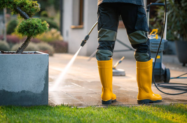 Best Residential Pressure Washing Services  in Luna Pier, MI